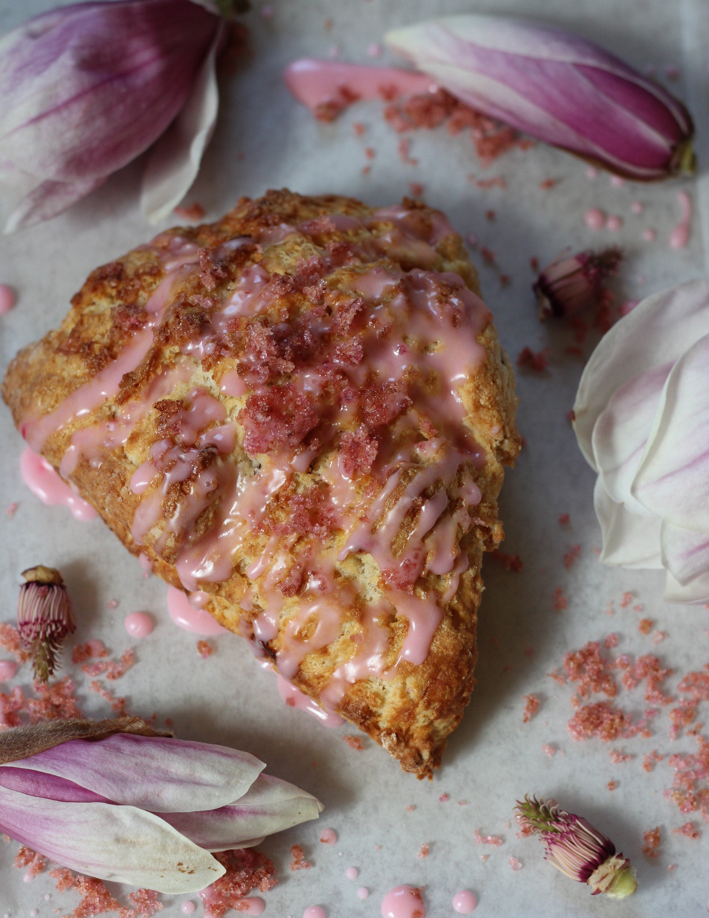 The Biscuit Eater Cafe Special Edition Cookbook In The Garden The